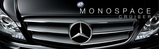 Limousine servive Monospace Viano